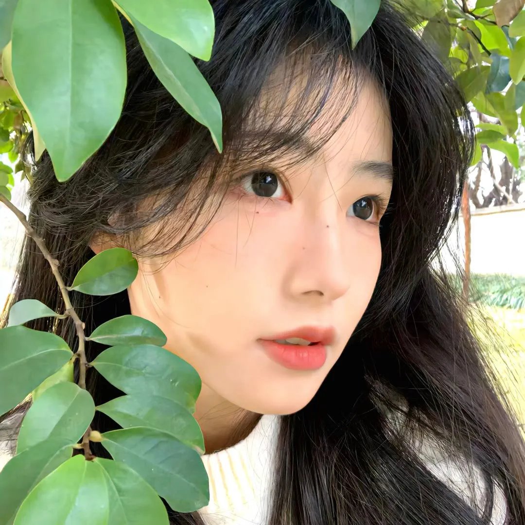 黑影家族